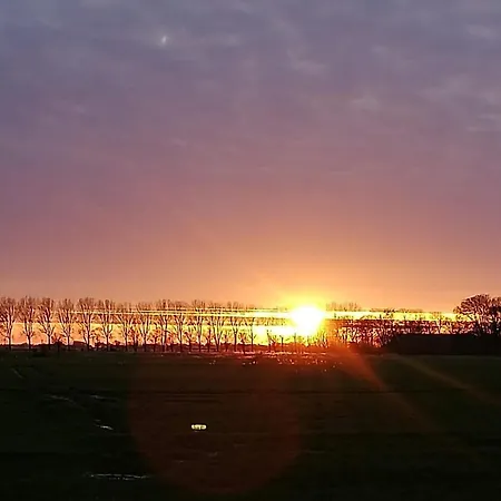 Ferienhaus Löwenzahn