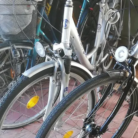 Ferienhaus Löwenzahn *