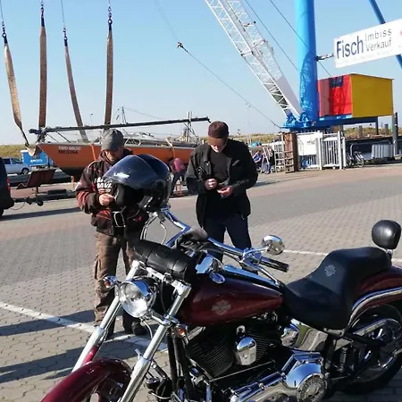 Löwenzahn Ferienhaus