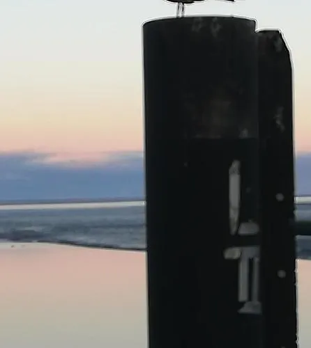 Loewenzahn Tatil Evi