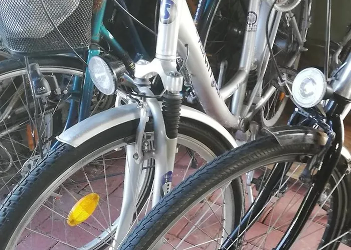 Tatil Evi Loewenzahn *